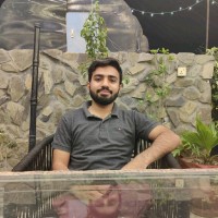 Ali Afzal