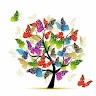 Sameer TK