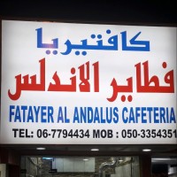 محمود فوزى