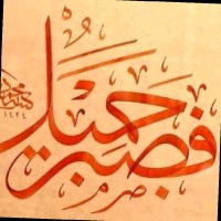 Mohamed Naguib