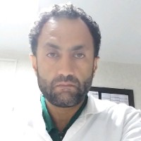 Mojtaba Ghasemianaghmashhadi