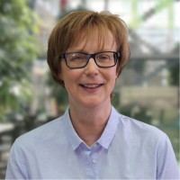 Birgit Große