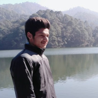 Dheeresh Singh Karki