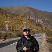 Witt Zhang