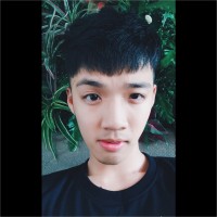 Hong Quan Tran