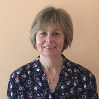 Wieke Van Der Steen