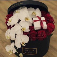 دلوعه باربي