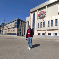Ahmed M. Hammad