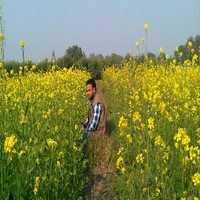 amit singh