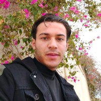 فتحي الهوني الهوني