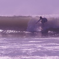 Dave Wilbur