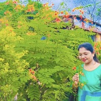 Dipika T