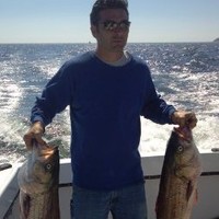 Pat DiRocco