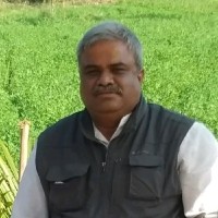 vivek pandit