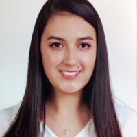 Brenda Carolina Hernandez Godoy