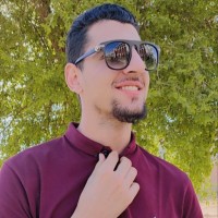 Osama M. Elnagar