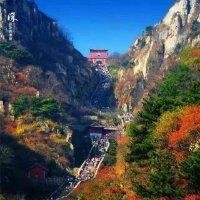 吴慎安
