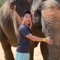 Donny Huynh