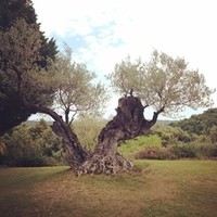 Pere Miñarro Toledo