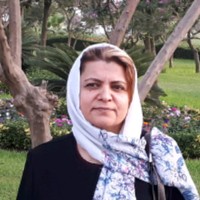 Shahtaj Nasiri