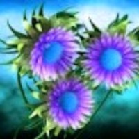 Usha Vijay