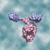 Lifescience Marketing