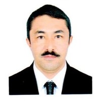 Mohammad Amin Janzad