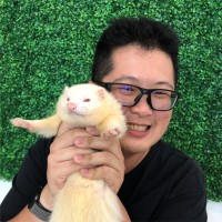 Joseph chen