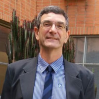 Geraldo Bonassi Junior