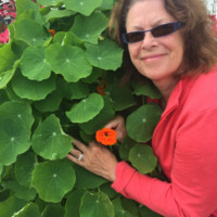 Jane Kelley