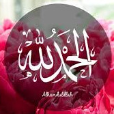 Hanafy Mahmoud Abo Ali