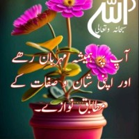 Mr Nawaz Haqnawaz