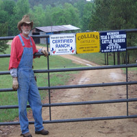Larry Collins
