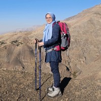 Shima Azizian