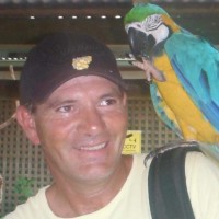 David Burgess