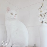 孙伟楠
