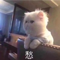 夏子寒