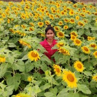 Kavitha Lokesh