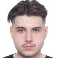 Leonid Perlin