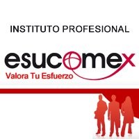 Instituto Profesional