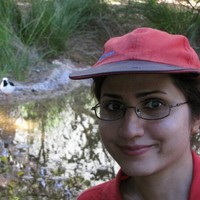 Bahar Razavi