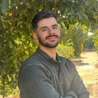 Arash Sheikholeslami