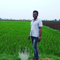 Ashok Dalu