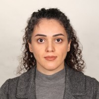 Sima Mohammadi