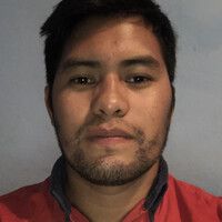 Raul Aaron Ramirez Barboza