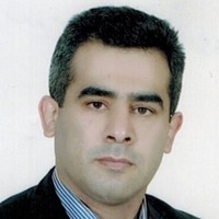 Mohsen Mirzadeh