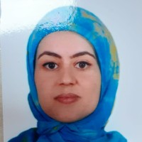 Najwa Ateş