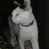 Ana Paula Ramos De Aquino