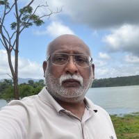 Rashed Haroon