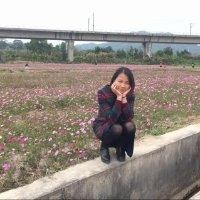莫少文